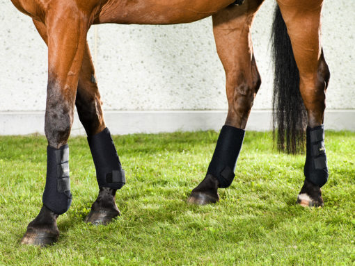 Back on Track Exercise Boots - Back - Bilde 2