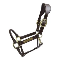 Kentucky Anatomic Leather Halter - Brown