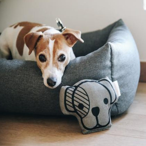 Kentucky Dog Toy Head - Bilde 2