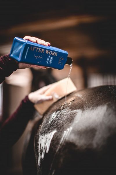 Nathalie Horse Care NHC After Work Wellness - 750ml - Bilde 2