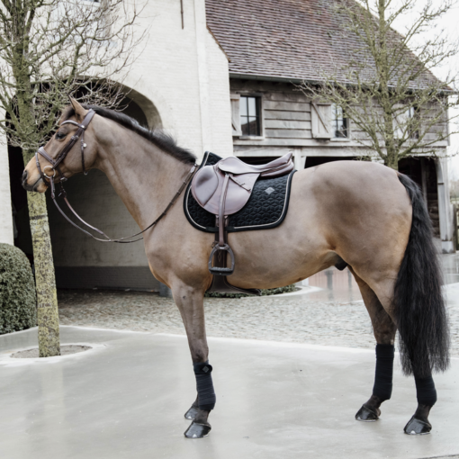 Kentucky Saddle Pad Velvet Basic SJ - Black - Bilde 2