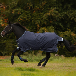 Horseware Amigo Bravo 12 Original Turnout - 250g