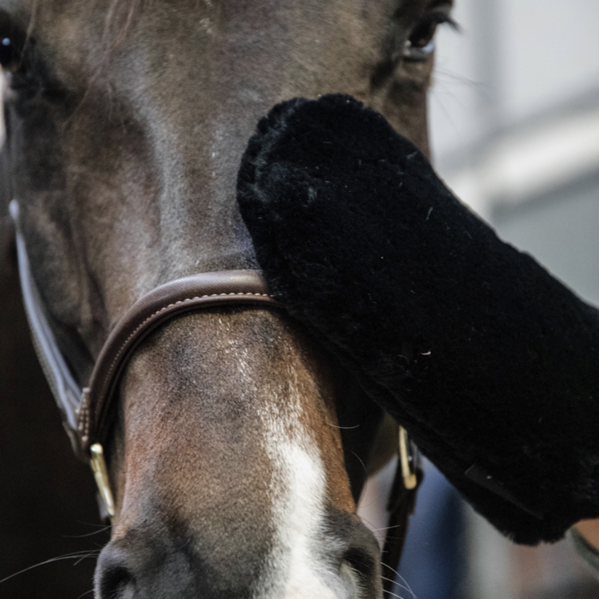 Grooming Deluxe Sheepskin Grooming Glove - Black - Bilde 3