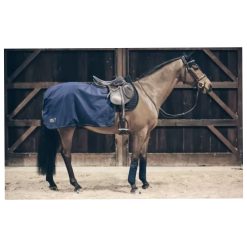 Kentucky Quarter Rug All Weather 160g - Navy