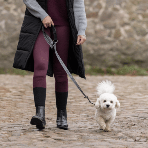 Kingsland Macey Dog Collar & Leash - Grey - Bilde 2