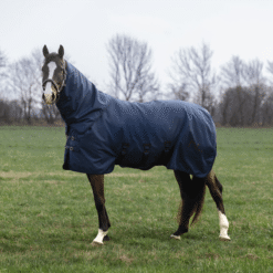 Kingsland Mindy Turnout Rug - Navy