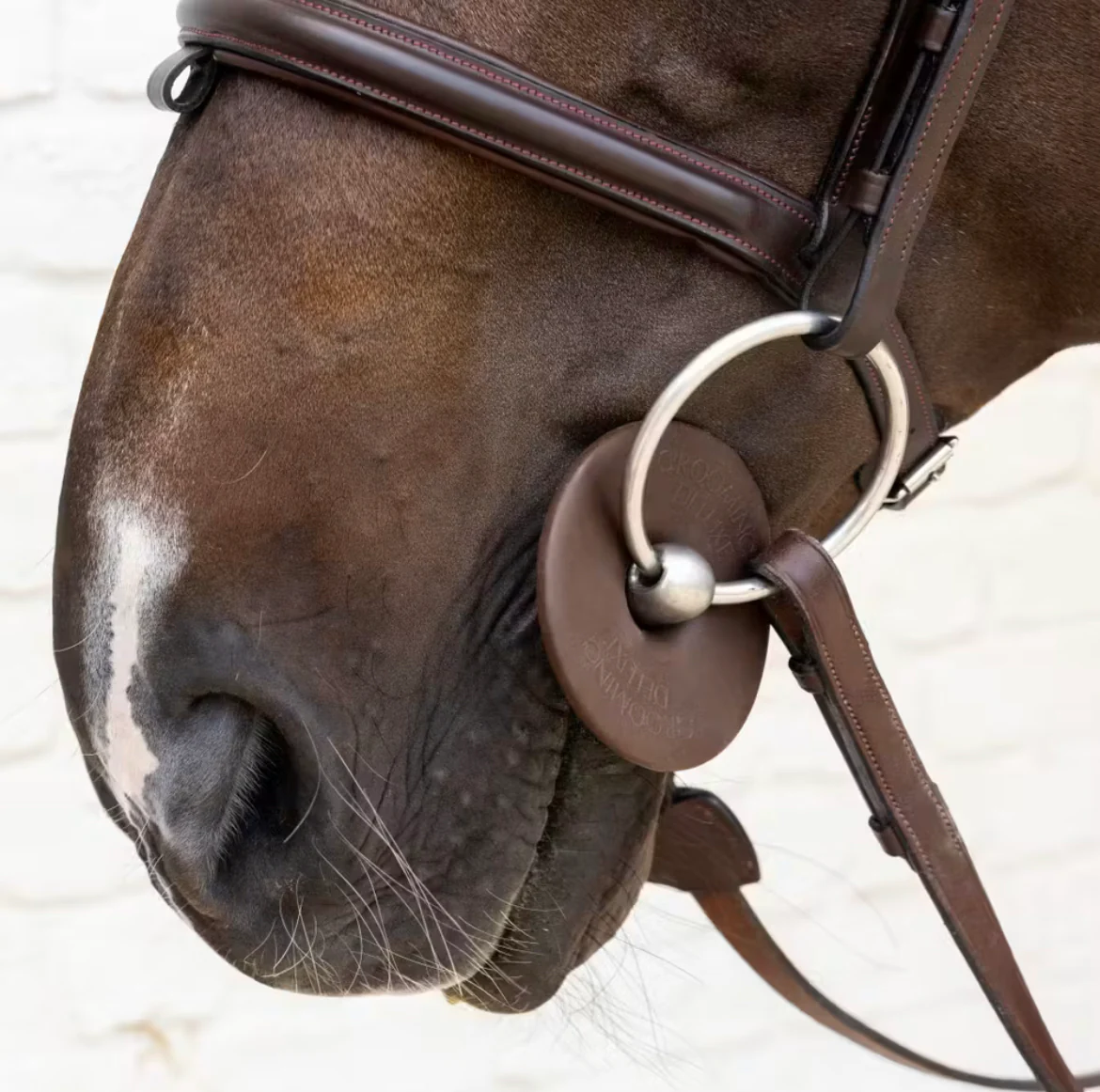 Grooming Deluxe Silicone Bit Ring - Brown